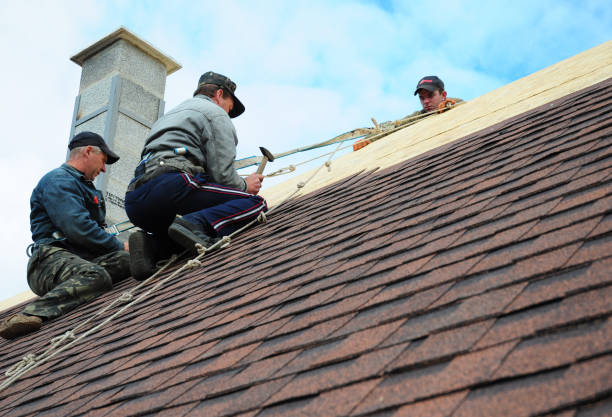 Best Storm Damage Roof Repair  in Callahan, FL